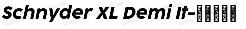 Schnyder XL Demi It字体转换